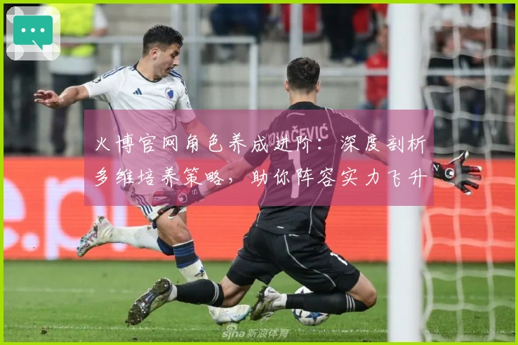 火博官网角色养成进阶：深度剖析多维培养策略，助你阵容实力飞升