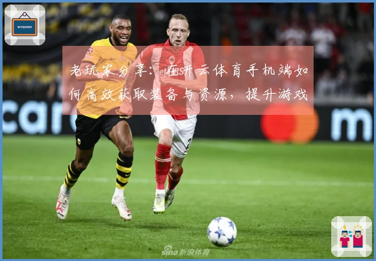 老玩家分享：在开云体育手机端如何高效获取装备与资源，提升游戏体验